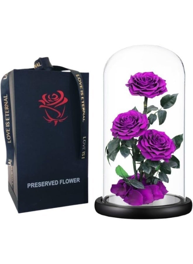 معرض الأعياد وردة كبيرة محفوظة يدوياً، لا تذبل أبداً، هدية عيد الحب، هدية زفاف، ذكرى زواج، عيد ميلاد، هدية عيد الأم، أفضل هدية لها، 33×17×17 سم (بنفسجي) - Image 1