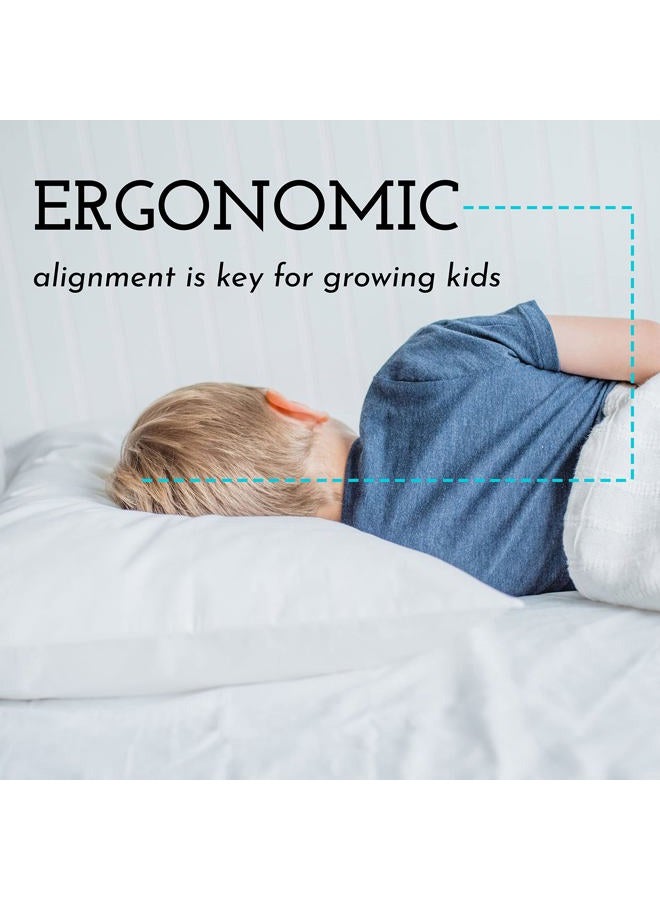 Little Sleepy Head Toddler Pillow with Pillowcase 13x18 - Kids Pillow for Sleeping - Toddler Pillow - Better Neck Support Ergonomic Pillow and Toddler Pillowcase - Best Pillows for Kids (White)  - Image 4