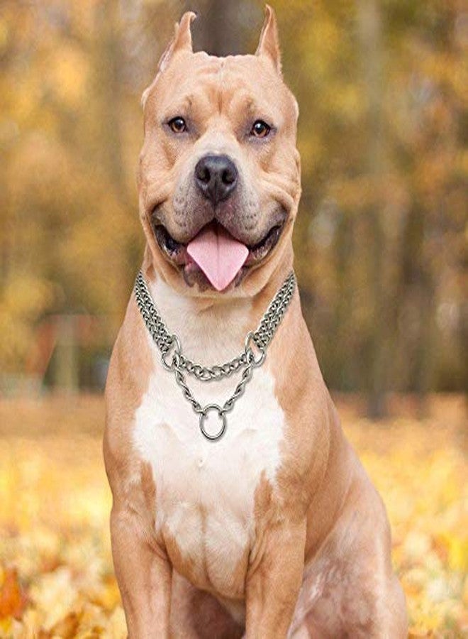 Pet Guard Chrome Stainless Steel 2 Layer Dog Choke Chain 24 Inch Collar (Steel) - Image 4