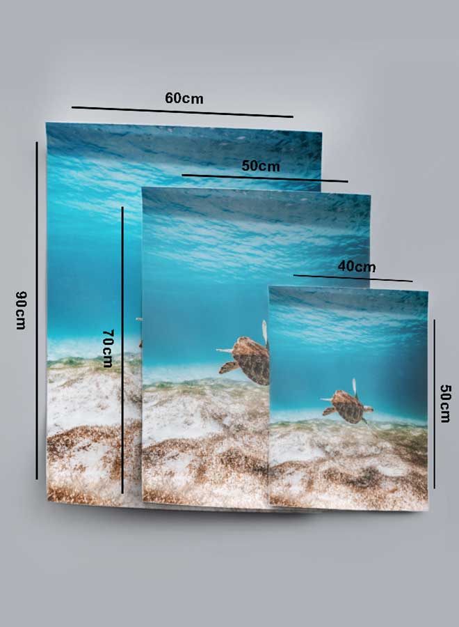 لوحة بوستر ديكور لوحة بدون فريم مع أربع قطع منفصلة من اللاصق ذو الوجهين تصميم صورة سلحفاة أعماق البحار غرفة النوم غرفة المعيشة وديكور المكتب - Image 4
