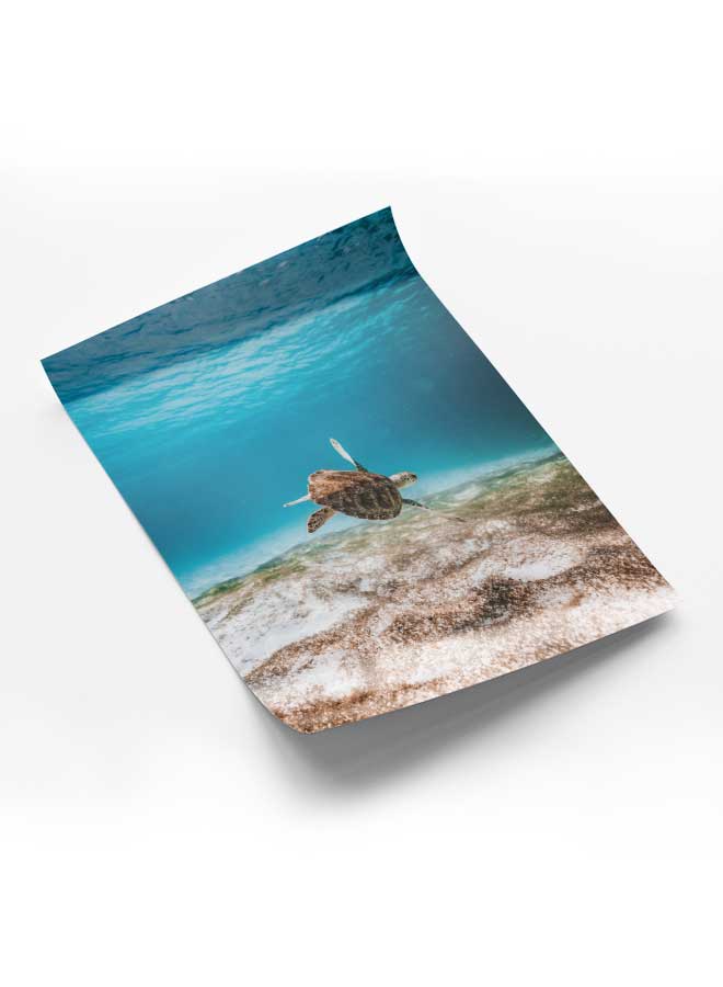 لوحة بوستر ديكور لوحة بدون فريم مع أربع قطع منفصلة من اللاصق ذو الوجهين تصميم صورة سلحفاة أعماق البحار غرفة النوم غرفة المعيشة وديكور المكتب - Image 1