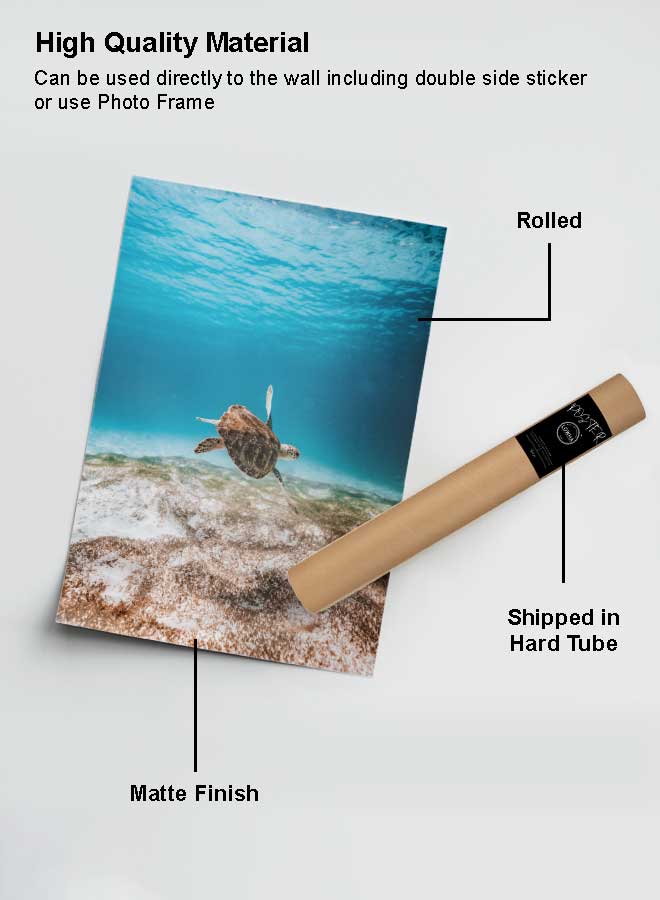 لوحة بوستر ديكور لوحة بدون فريم مع أربع قطع منفصلة من اللاصق ذو الوجهين تصميم صورة سلحفاة أعماق البحار غرفة النوم غرفة المعيشة وديكور المكتب - Image 2