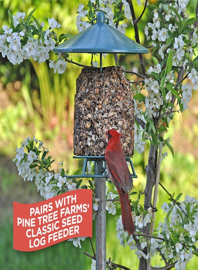 Pine Tree Farms Woodpecker Classic Wild Bird Seed Log, Gourmet Bird Food with Almonds, Peanuts, Sunflower Hearts, Black Oil Sunflower Seeds & More, 36 oz. (Pack of 3) - Image 3