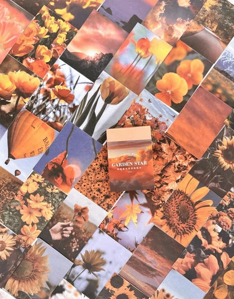كاغيت جيمي دوكان Paper Ship Shop Garden Star Orange Notebook Sticker / Decal / Bullet Journal / Notebook Decoration / Scrapbook