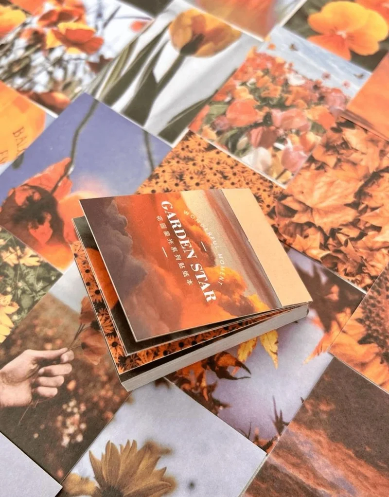 كاغيت جيمي دوكان Paper Ship Shop Garden Star Orange Notebook Sticker / Decal / Bullet Journal / Notebook Decoration / Scrapbook