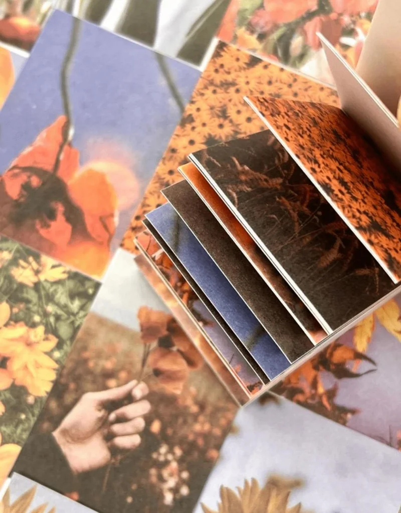 كاغيت جيمي دوكان Paper Ship Shop Garden Star Orange Notebook Sticker / Decal / Bullet Journal / Notebook Decoration / Scrapbook