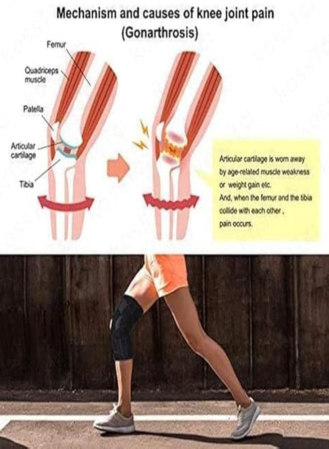 QP360 Knee Support Hinged (Neoprene), for Stability & Pain Relief | For Sports & Gym (X-Large) - Image 3