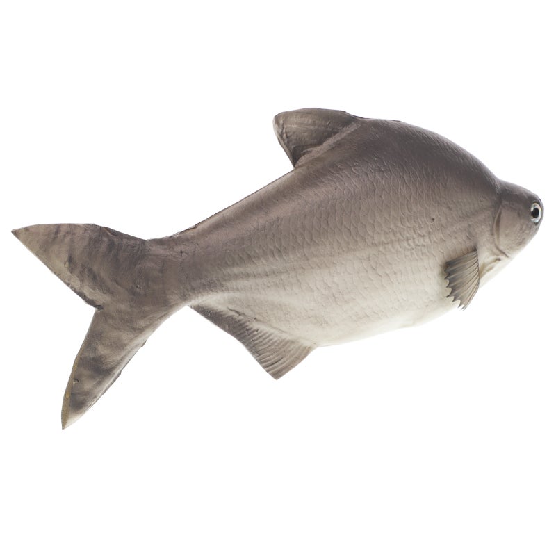 Realistic Fish Model Lifelike PU Fish Models Simulated Toy Fake Fish Photo Props for Kitchen Home Office Decors - Image 1