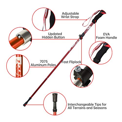 YOVITAL Trekking Poles Collapsible Hiking Poles - Aluminum 7075 Adjustable Hiking Walking Sticks with Quick Locks, Expandable to 53"and Ultralight Poles for Hiking Camping Mountains Walking（Set of 2） - Image 2