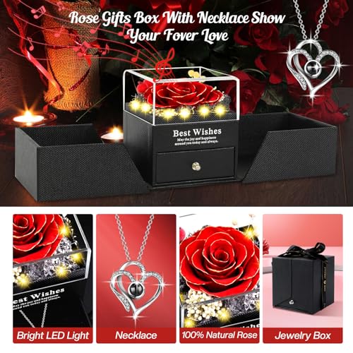Pasuvsigt Mothers Day Mom Birthday Gifts for Women, Preserved Real Rose with I Love You Heart 100-Language Necklace, LED Lights & Music Box, Anniversary for Women Girlfriend Mom - Image 4