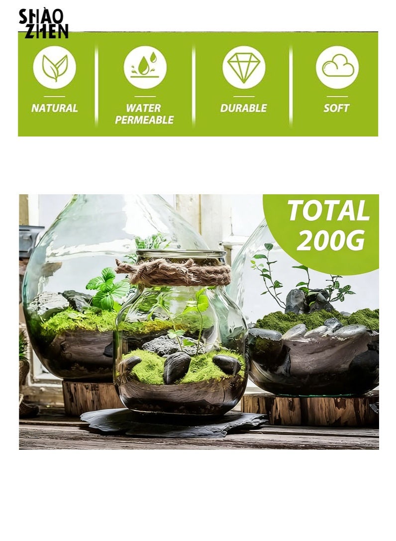 SHAOZHEN 200g Moss Grass Perfectly Simulates Artificial Moss Fake Green Grass for Centerpieces Home Kitchen Garden Decor Preserved Forest Moss - Image 3