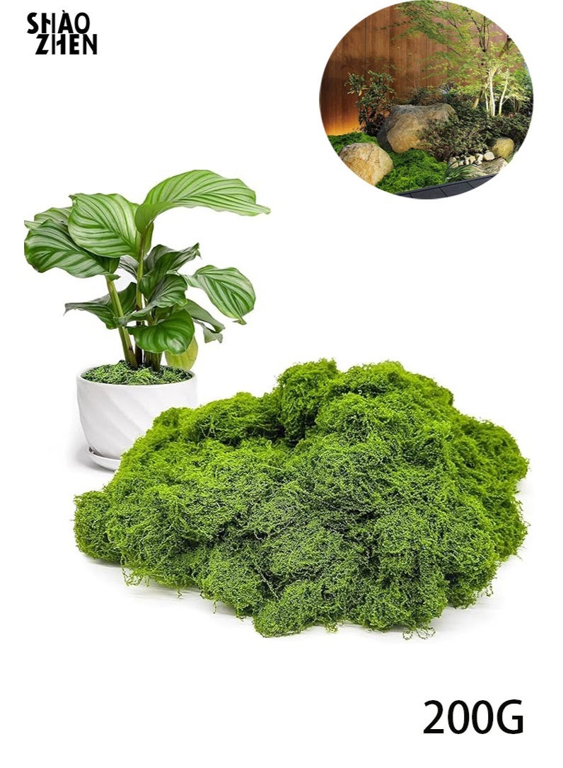 SHAOZHEN 200g Moss Grass Perfectly Simulates Artificial Moss Fake Green Grass for Centerpieces Home Kitchen Garden Decor Preserved Forest Moss - Image 1