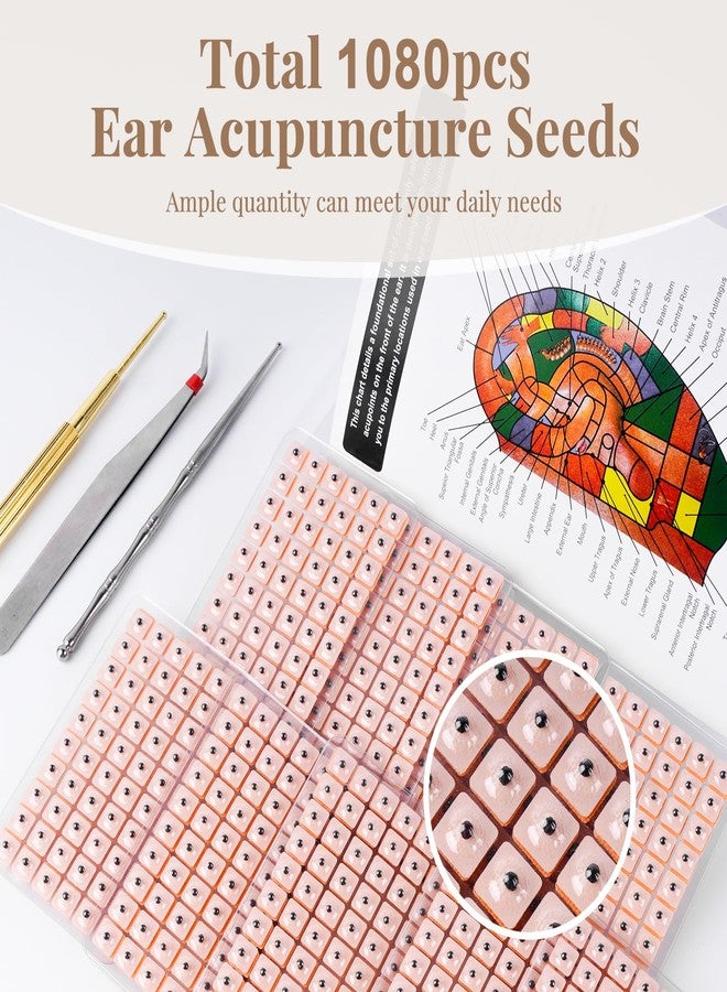 GoClimber 1080Pcs Ear Seeds Acupuncture Kit, Auricular Sticker Kit with Ears Seed, Acupressure Ear Chart, Acupuncture Pen, Tweezers - Image 4