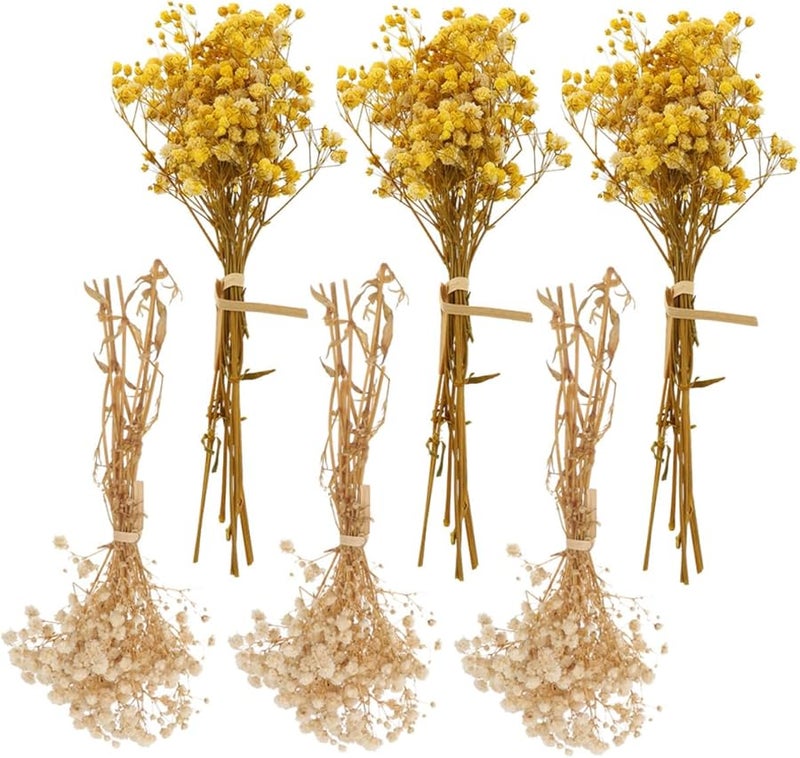 Natural Preserved Gypsophila Dried Flowers Bouquet 6Pcs Wedding Home Decor Box Set - Image 1