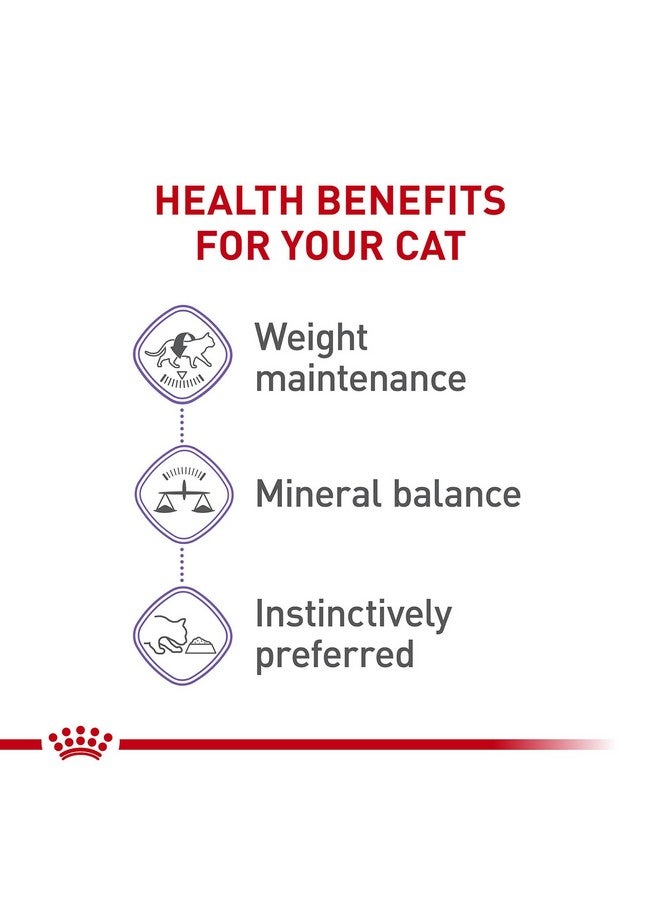رويال كانين طعام القطط المعلب من رويال كانين فيلين هيلث نيوتريشن، شرائح رقيقة في المرق، عبوة 3 أونصة (24 قطعة) - Image 3
