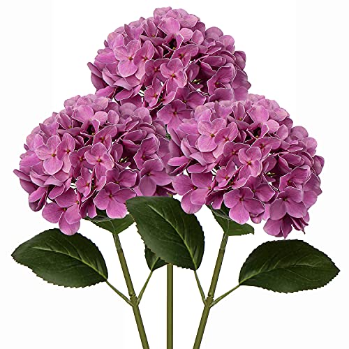 DILATATA Silk Hydrangea Flower 26 Big Fake Hydrangea Faux Flowers Lifelike Tall Artificial Hydrangea Real Touch Hydrangea for Wedding Ceremony Centerpieces Decor3pcs