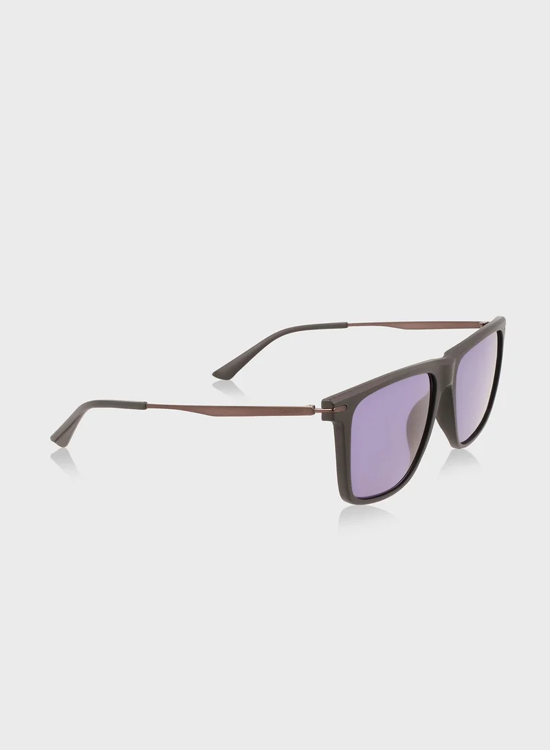 CALVIN KLEIN Wayfarers Sunglasses