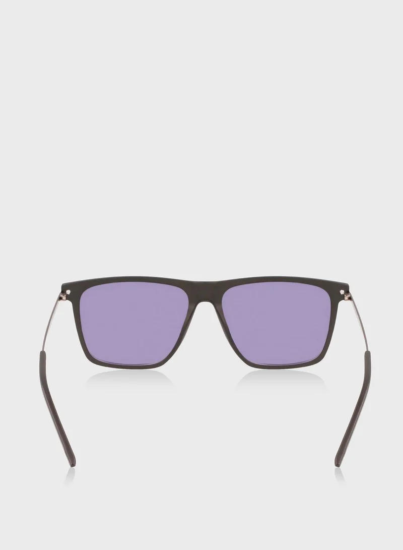 CALVIN KLEIN Wayfarers Sunglasses