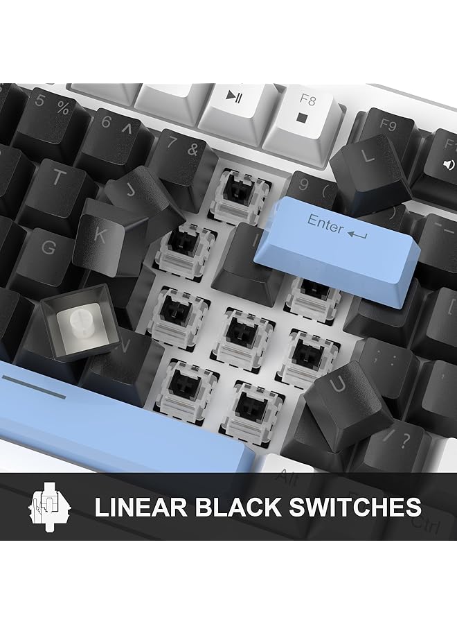 MageGee 75% Mechanical Gaming Keyboard Compact Blue Backlit With Black Switches Eva Foam Knob Control Star75 Portable Nkro For Pc Black & Blue - Image 3