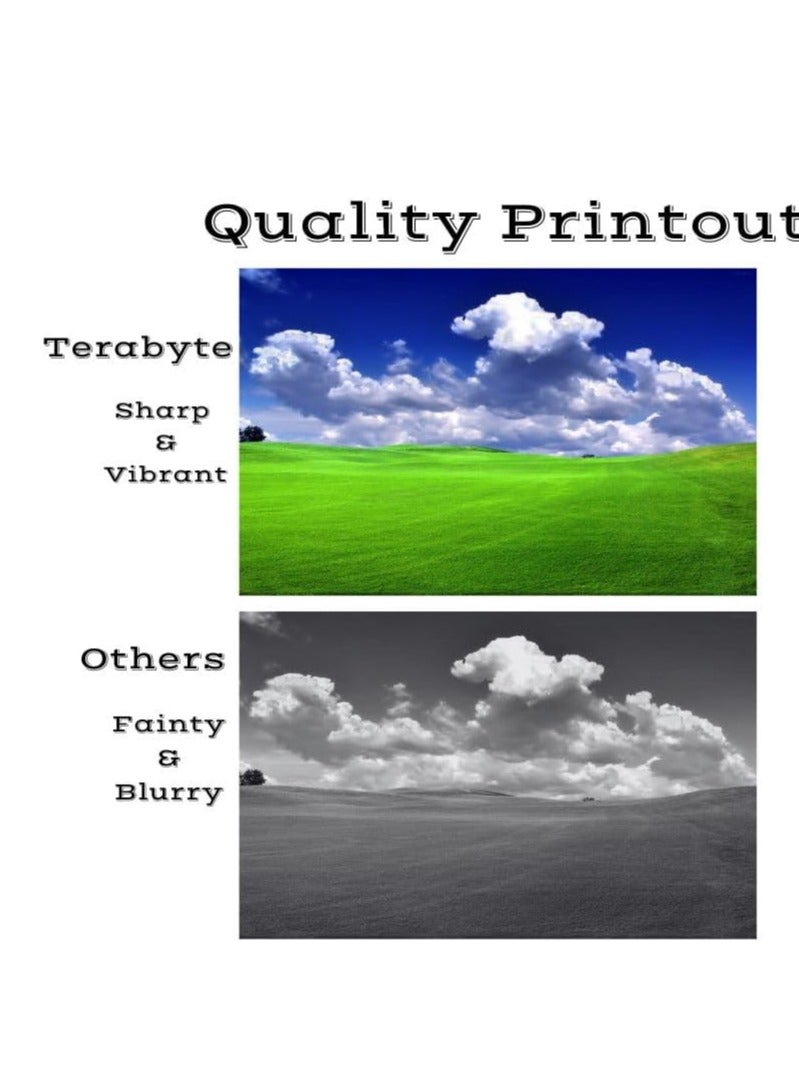 Terabyte خراطيش حبر 215A 4 عبوات بديلة لخراطيش حبر hp 215A W2310A W2311A W2312A W2313A لطابعات HP Color Pro MFP M182nw M183fw M182 M183 M155 (أسود، أزرق، أرجواني، أصفر) - Image 3