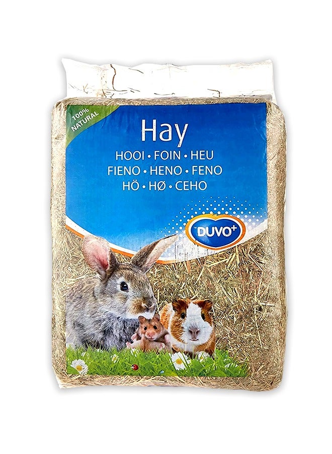 Duvo + Hay Feed for Rabbits And Rodents - 2.5KG - Image 1