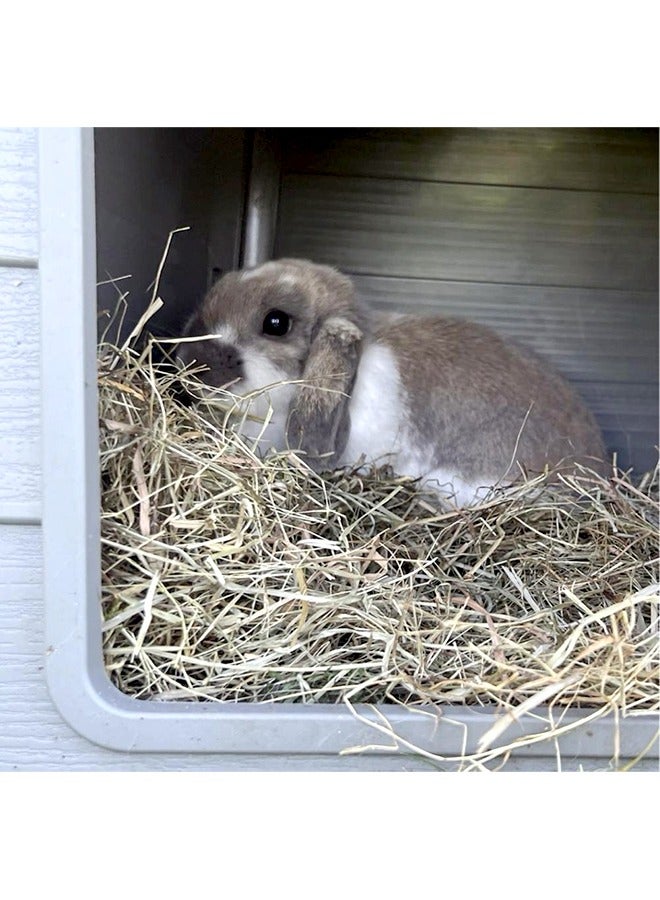 Duvo + Hay Feed for Rabbits And Rodents - 2.5KG - Image 2