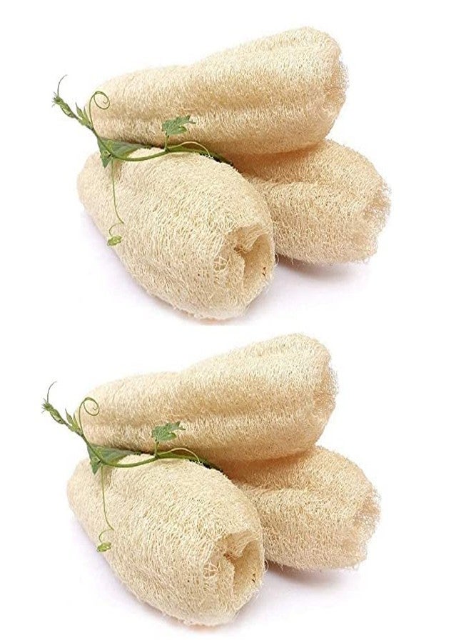 Mini Storify Truly Organic ميني ستوريفاي - ليفة طبيعية للجسم - عبوة من 12 قطعة - ليفة عضوية/إسفنجة ليفة لتقشير الجسم والاستحمام - مقشر ليفة صديق للبيئة للرجال والنساء - Image 1