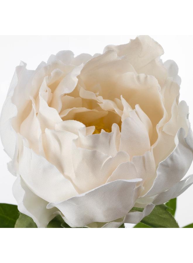 Zaboon Artificial Flower, Peony/White, 30 Cm - Image 2
