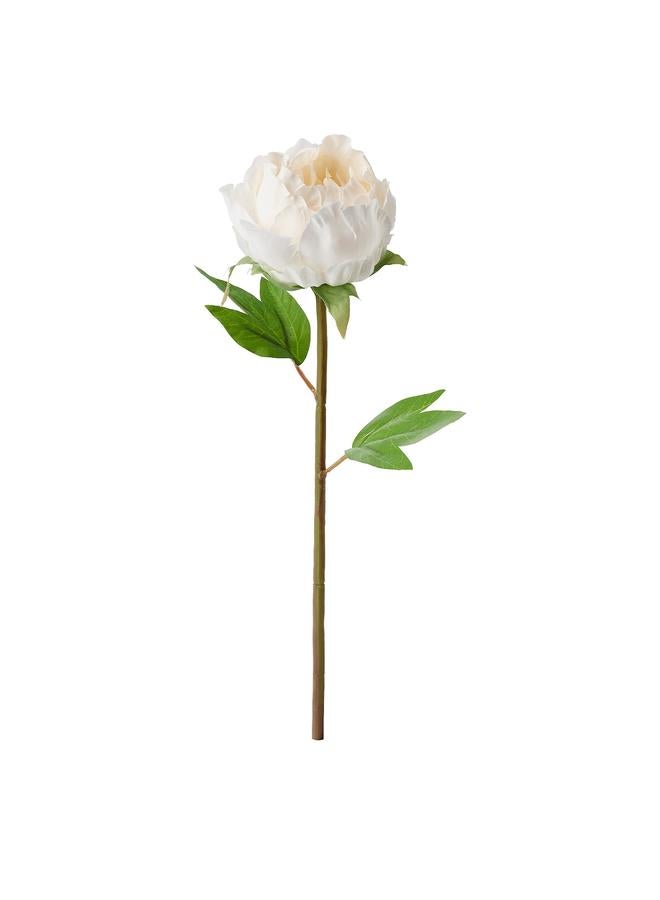 Zaboon Artificial Flower, Peony/White, 30 Cm - Image 1
