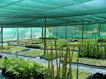 Artlicious UV Stabilized Agro Green House Net Garden Shade - 50% 1.5x10m (5ft x 32ft) net Balcony Agriculture shadnet Netting House Multipurpose - Green (1.5X10M, 50%) - Image 3