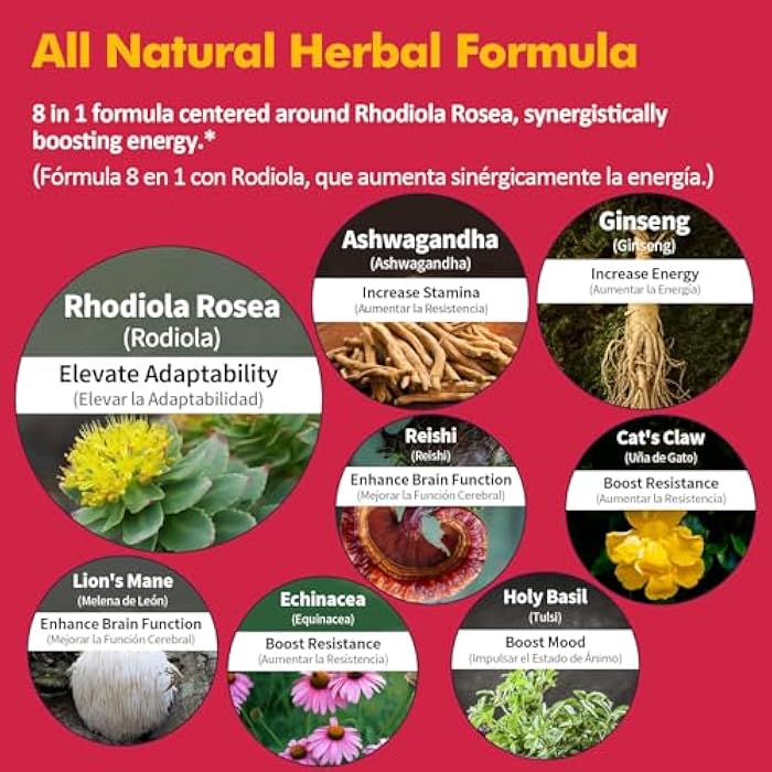 Nurbetoxa مستخلص روديولا روزيا (روديولا) قطرات، مكمل طبيعي للتكيف مع أشواغاندا، جنسنغ، ريحان مقدس، وإشيناسيا لدعم الطاقة، صحة الدماغ، المناعة والمزاج. 2 أونصة - Image 4