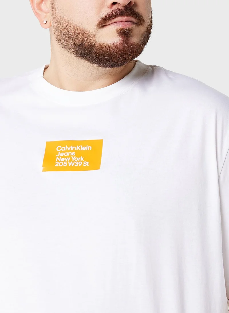 Calvin Klein Jeans Logo Plus Size Crew Neck T-Shirt