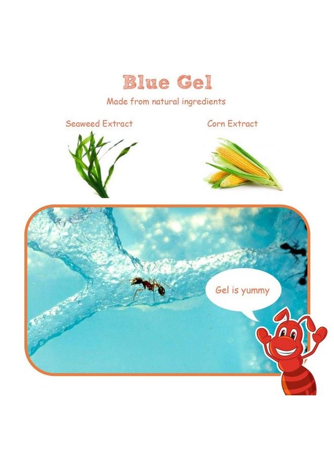 NAVADEAL - Ant Farm Castle 2.0 With Connecting Tube Ant Habitat Science Learning Kit Best Stem 2021 Educational Kids Toy Study Insect Behavior At Home & School Plant Based Blue Gel 3D Maze Ecosystem - Image 1