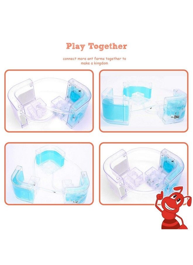 NAVADEAL - Ant Farm Castle 2.0 With Connecting Tube Ant Habitat Science Learning Kit Best Stem 2021 Educational Kids Toy Study Insect Behavior At Home & School Plant Based Blue Gel 3D Maze Ecosystem - Image 1