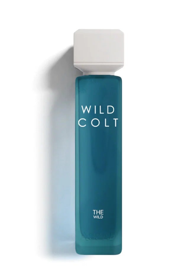 ASSAF Wild Colt Eau De Parfum- 200ml - Image 1