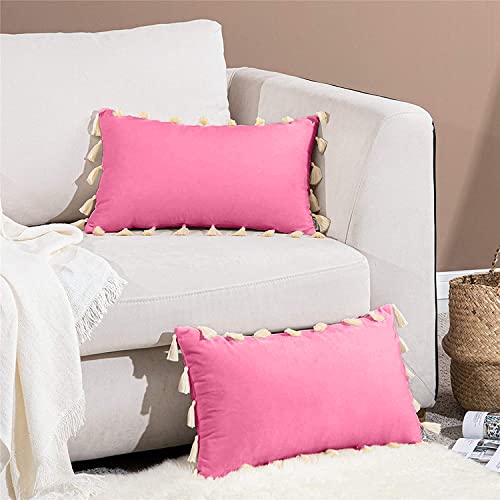 CottonFry Boho Decorative Throw Pillow/Cushion Covers with Tassels for Couch Bed Sofa Soft Velvet Cushion Covers - Image 2