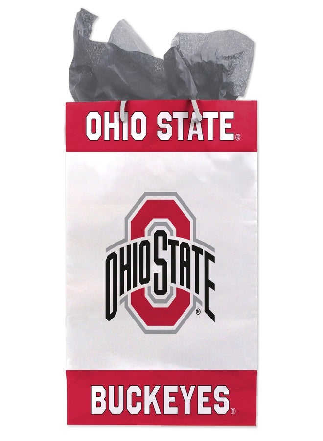 Havercamp Ohio State Buckeyes Gift Bag with Handles & Tissue Paper, Birthday Gift Bag for Graduation, Baby Shower, Tailgate Party Decor, Ohio State Theme Gift Paper bag - Image 1