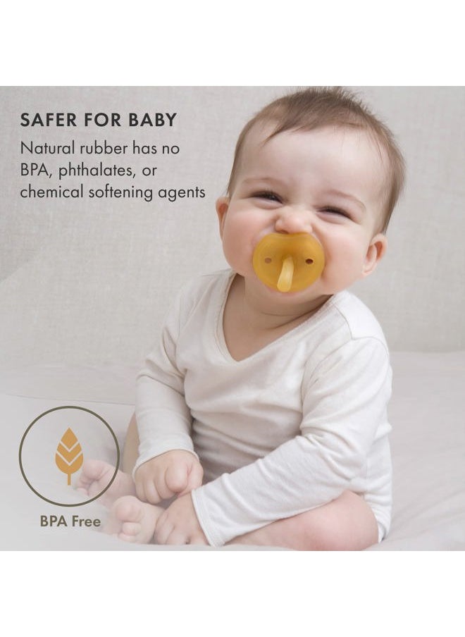 Natursutten Pacifiers 0-6 Months - 1-Pack Butterfly Shield Round Nipple Natural Rubber Safe & Soft BPA-Free Pacifiers for Breastfeeding Babies - Newborn Pacifiers Made in Italy  - Image 2