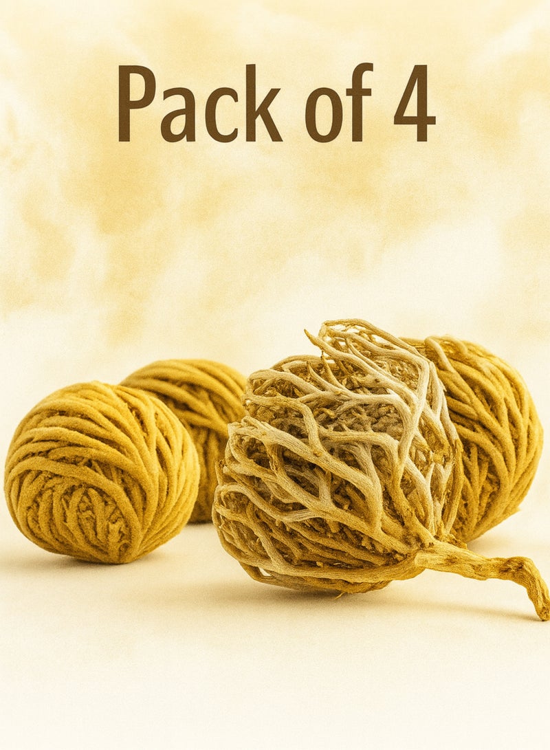 زهر وردة أريحا Anastatica hierochuntica زهرة مريم، زهرة مريم نبات القيامة (عبوة من 4 قطع) - Image 2