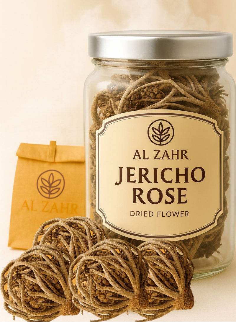 زهر وردة أريحا Anastatica hierochuntica زهرة مريم، زهرة مريم نبات القيامة (عبوة من 4 قطع) - Image 1