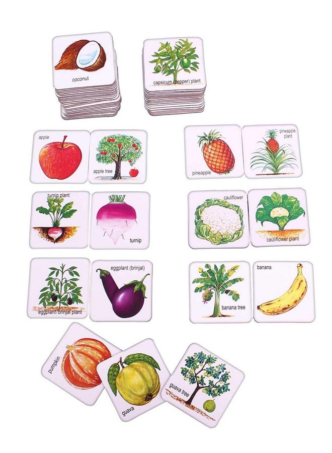 Creative's Fruits Vegetables and Their Plants | Educational Cards Game | Pre-School Learning Cards Game for Kids | Reinforce Knowledge Fruits & Vegetable | Ages 4 & Up - Image 2