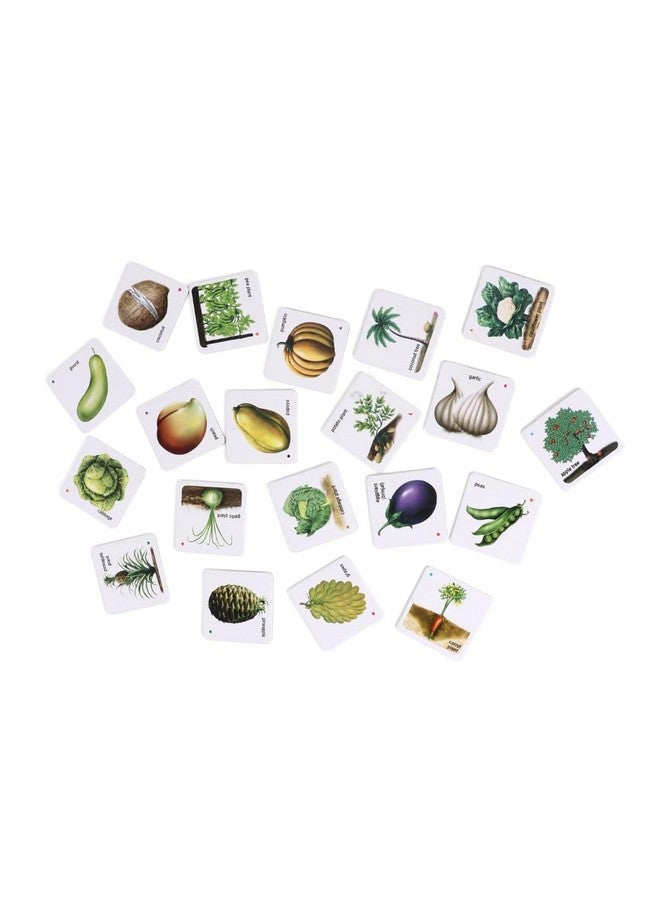 Creative's Fruits Vegetables and Their Plants | Educational Cards Game | Pre-School Learning Cards Game for Kids | Reinforce Knowledge Fruits & Vegetable | Ages 4 & Up - Image 3