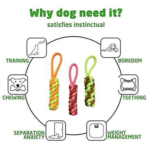 Agirav Tail Dog Toys + Dog Chew Toys + Puppy Teething Toys + Rope Dog Toy + Dog Toys for Small to Medium Dog Toys + Dog Toy Pack + Tug Toy + Dog Toy Set + Washable Cotton Rope for Dogs (Pack of 10) - Image 5