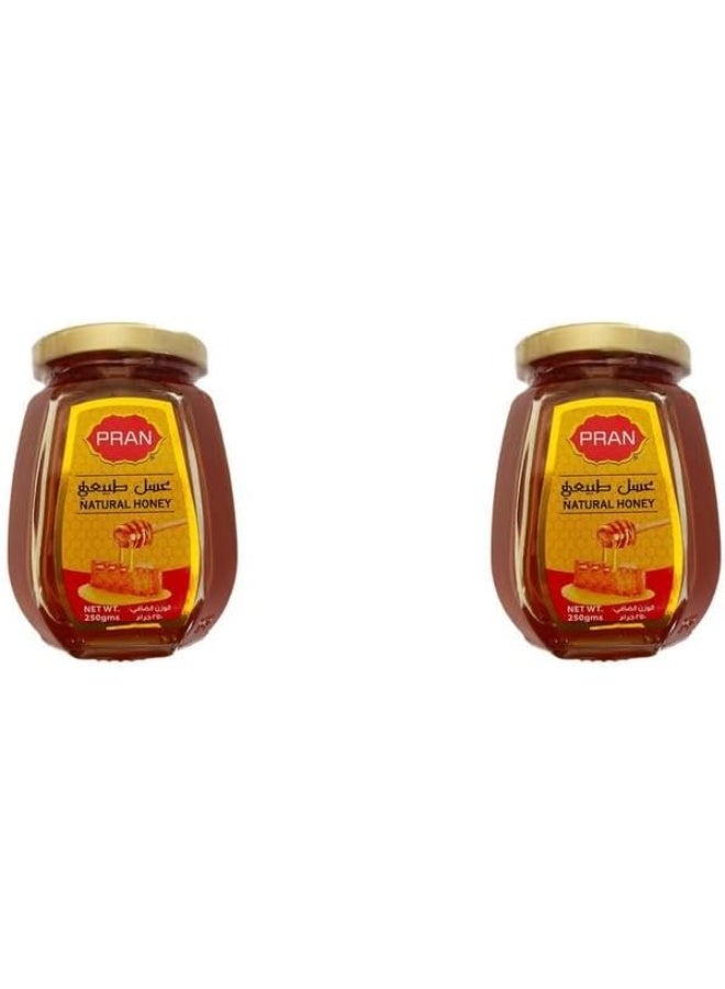 PRAN Natural Honey 250 gm, 2-Pack