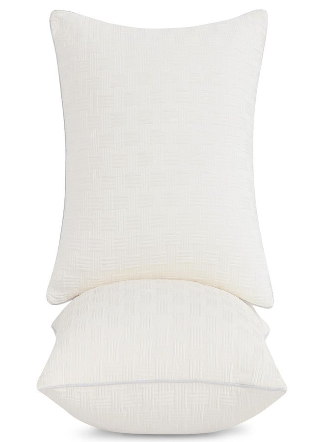 Leeden 18x18 Pillow Inserts Set of 2, Soft and Fluffy Throw Pillow Forms for Couch and Bed, 18 Inch Square Decorative Pillow Inserts, Beige - Image 1