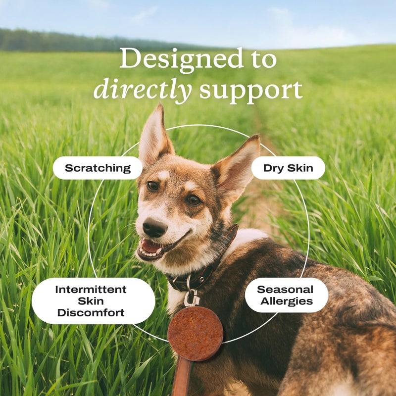 PetLab Co. Itch Relief Chews - Support for Dry, Occasionally Itchy Skin & Coats - Formulated with Turmeric, Omega 3 & 6, Honey - Packaging May Vary - Image 4