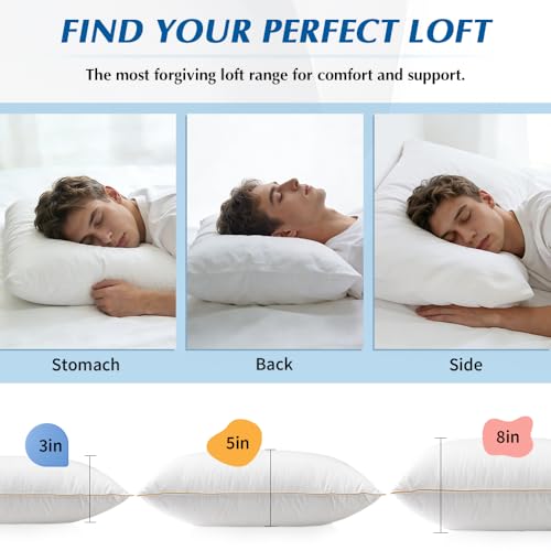 Welacer 10lbs Pillow Stuffing,70% Shredded Memory Foam and 30% Polyfill Filling, Adjustable Bean Bag Filler Replacement for Couch Cushion, Comfortable Support for Kids Sleep - Image 3