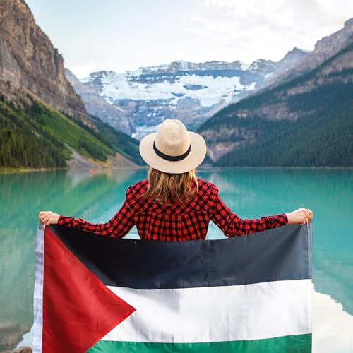 Anley أنلي إفرتراينج سيريز علم فلسطين 3x5 قدم - رأس قماش ثقيل - 4 صفوف من خياطة القفل - علم فلسطين الوطني مع حلقات نحاسية 3 X 5 قدم - Image 5