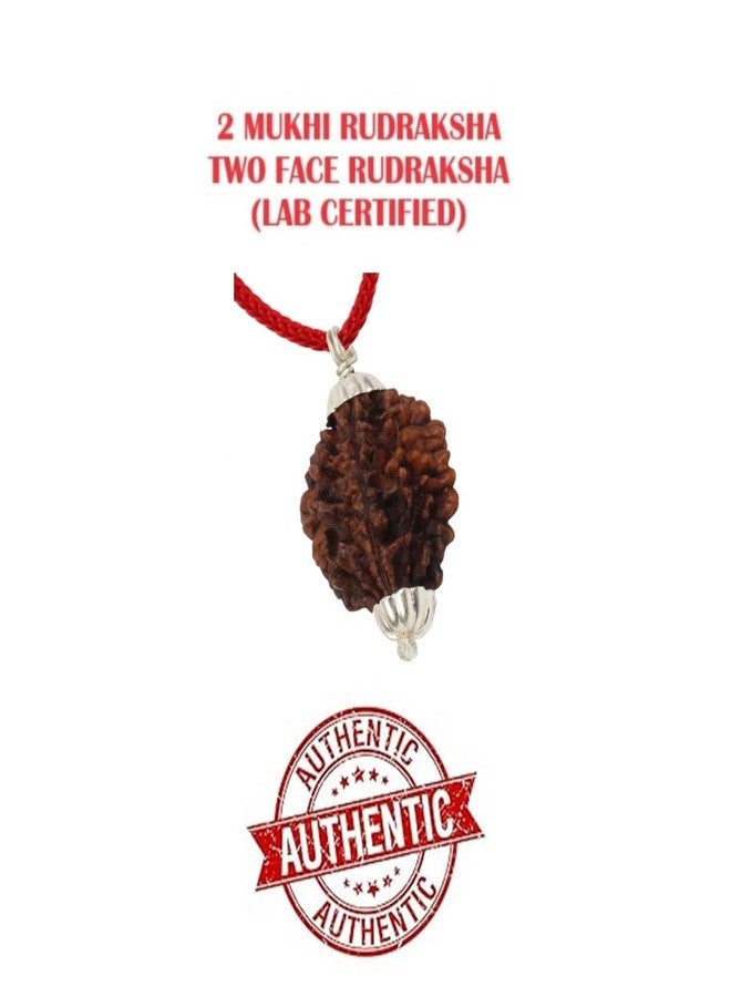 ASTRODIDI Certified and Original 2 Mukhi Rudraksha Pendant with Lab Report for Daily Wearing for Men Women Boys and Girls | Natural Two Face Rudraksh for Meditation and Prayer, Protection, Chakra Balancing, Spiritual Growth - Image 5