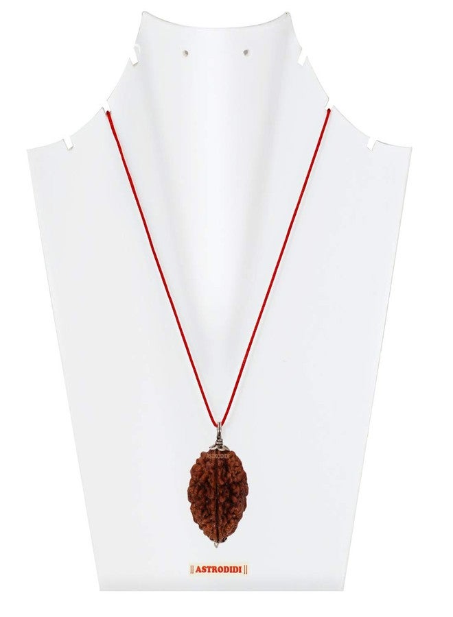 ASTRODIDI Certified and Original 2 Mukhi Rudraksha Pendant with Lab Report for Daily Wearing for Men Women Boys and Girls | Natural Two Face Rudraksh for Meditation and Prayer, Protection, Chakra Balancing, Spiritual Growth - Image 4